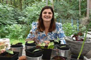 Dorien Baeyens - Hobby Planten Kweken