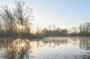 Een Nieuwjaarswens van GroenRand