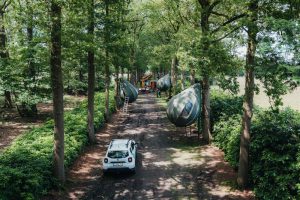 Boompittenten opgehangen in domein Franciscanessen 2