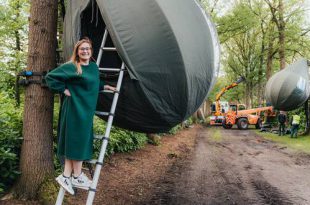 Boompittenten opgehangen in domein Franciscanessen