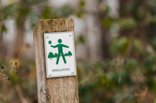 Bleke Heyde wordt speelbos en hondenloopzone