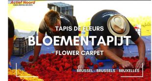 Bloementapijt Brussel 2024 een kleurrijk eerbetoon aan duurzaamheid en natuur