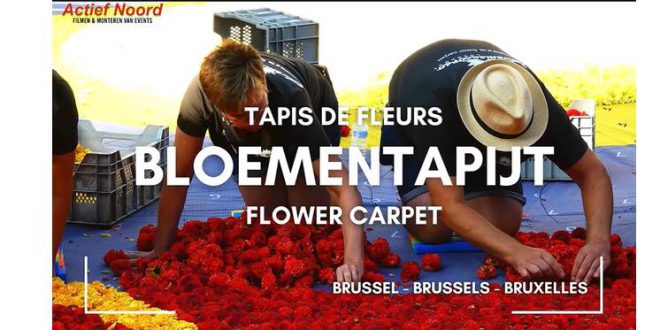 Bloementapijt Brussel 2024 een kleurrijk eerbetoon aan duurzaamheid en natuur