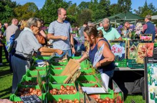 Shopplezier op Plantendag bij de beste kwekers