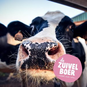 Food&i en Evonik kiezen voor de verse, lokale zuivel van De Zuivelboer 3