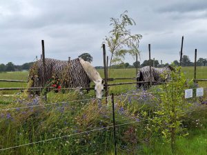 Stichting Manegepaardenpensioenfond organiseert minitruckfestival 3