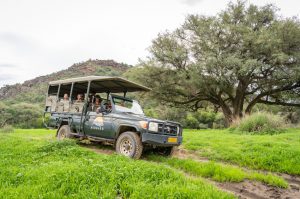 Afrika Namibië - Safari Midgard