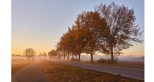 Veilig rijden met de wagen in de herfst