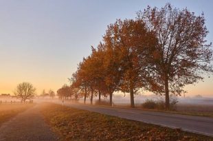 Veilig rijden met de wagen in de herfst