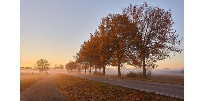 Veilig rijden met de wagen in de herfst