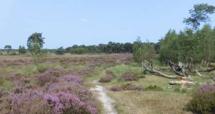 Vlaamse parken politici moeten algemeen belang vooropstellen