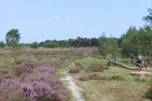 Vlaamse parken politici moeten algemeen belang vooropstellen