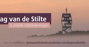 Beleef de stilte van Grenspark Kalmthoutse Heide tijdens Dag van de Stilte