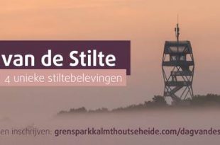 Beleef de stilte van Grenspark Kalmthoutse Heide tijdens Dag van de Stilte