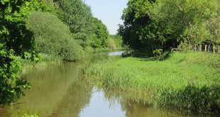 Strategisch project valt naast de prijzen