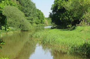 Strategisch project valt naast de prijzen