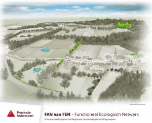 Vleermuizen krijgen onderkomen in WO I bunkers 2