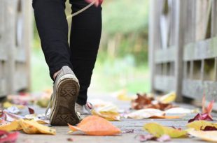 Wandel dwars door Wuustwezel, keer terug met de huifkar