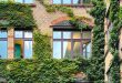 natuur en energie - free-photo-of-gebouw-huis-fabriek-plant