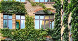 natuur en energie - free-photo-of-gebouw-huis-fabriek-plant