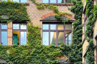 natuur en energie - free-photo-of-gebouw-huis-fabriek-plant