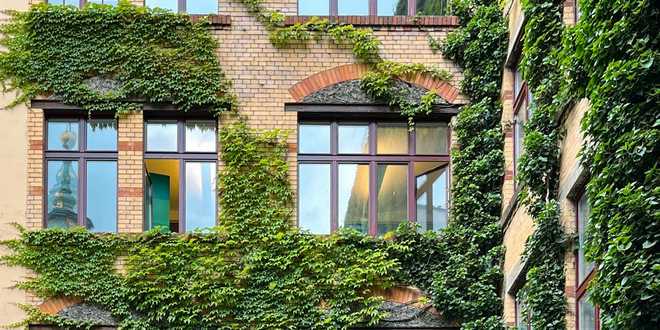 natuur en energie - free-photo-of-gebouw-huis-fabriek-plant