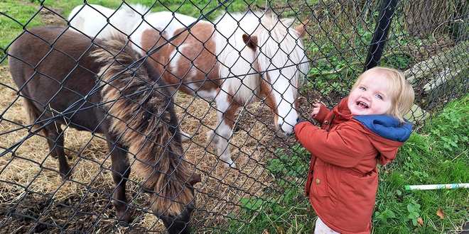 Mobiele kinderboerderij - Caroline Deruytter vertelt