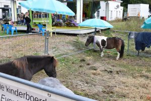 Mobiele kinderboerderij - Caroline Deruytter vertelt - (c) Noordernieuws 2024 - HDB_1758