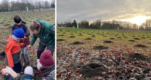 Aanplant 4000 bomen vervolledigt natuurherstel aan Zwartvenbos Kalmthout