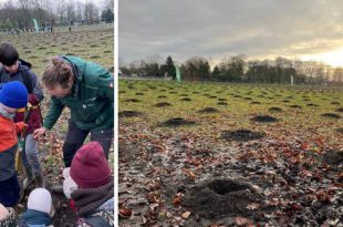 Aanplant 4000 bomen vervolledigt natuurherstel aan Zwartvenbos Kalmthout