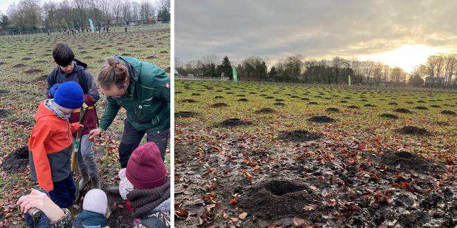 Aanplant 4000 bomen vervolledigt natuurherstel aan Zwartvenbos Kalmthout