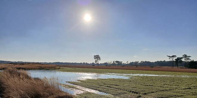 Antwoord minister Jo Brouns stelt natuurvereniging GroenRand teleur