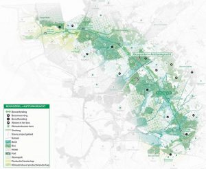 GroenRand nomineert 2025 tot het Jaar van de Bij 3