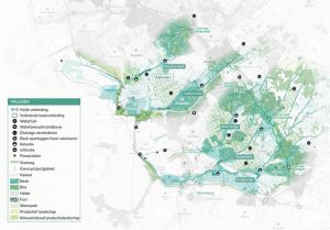 GroenRand nomineert 2025 tot het Jaar van de Bij 4