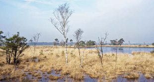 Nieuwe Expo de Vroente zoekt onthaalvrijwilligers