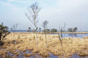 Nieuwe Expo de Vroente zoekt onthaalvrijwilligers