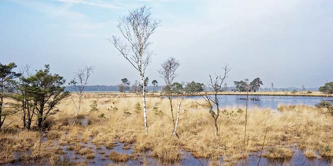 Nieuwe Expo de Vroente zoekt onthaalvrijwilligers