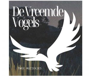 Brasschaatse, inclusieve coverband De Vreemde Vogels viert 10-jarig bestaan 3