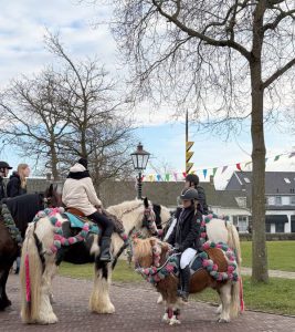 Schouwen Duiveland - paarden stroa