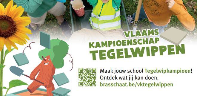 Brasschaat wil minstens 47 817 tegels wippen